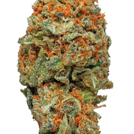 Buy AK-47 Marijuana Strain in Melbourne Australia