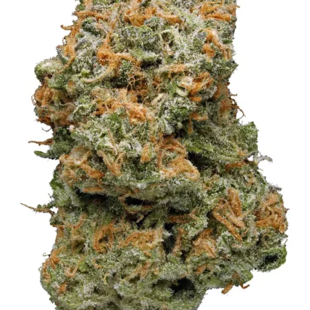 Buy Blue Dream Weed Strain in Melbourne Australia Via Telegram app