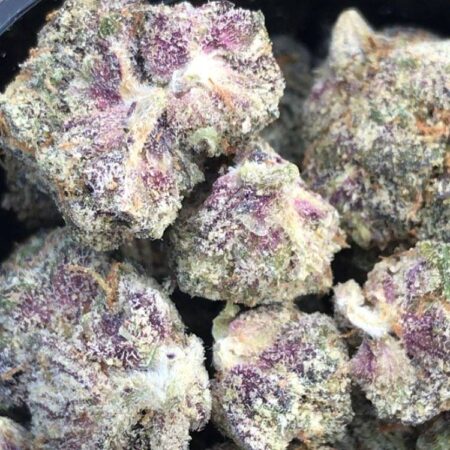 Buy Purple haze Weed Strain in Melbourne Australia via Telegram Vendor