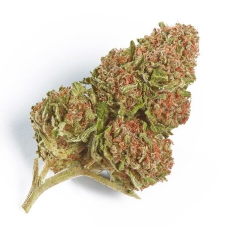 Buy Northern Lights Strain in Melbourne Australia without prescriptions