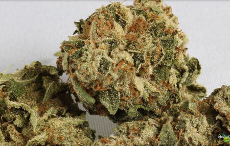 Buy OG Kush Marijuana Strain in Melbourne Australia