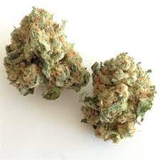 Buy Gorilla Glue Weed Strain in Melbourne Australia via Telegram Vendor